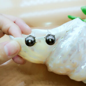 solid14k gold tahitian black pearl earrings